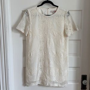 Lace Embroidered Dress